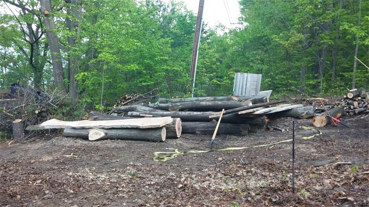 Milling oak logs on-site